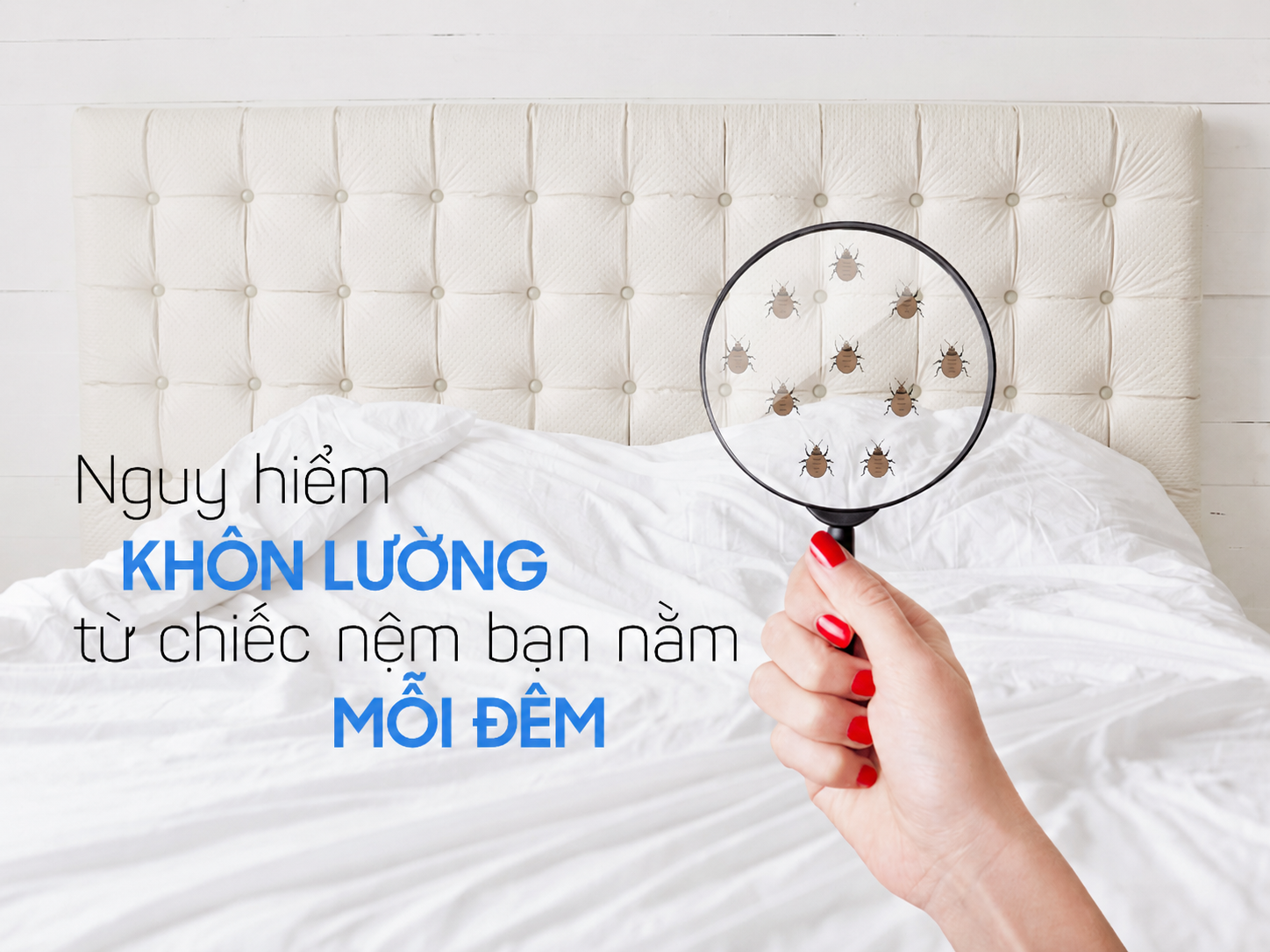 Đệm là nơi dễ tích tụ vi khuẩn nhất trong nhà